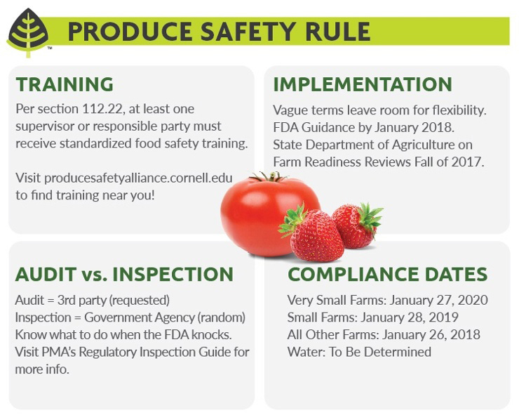 Fruit and Vegetable Safety